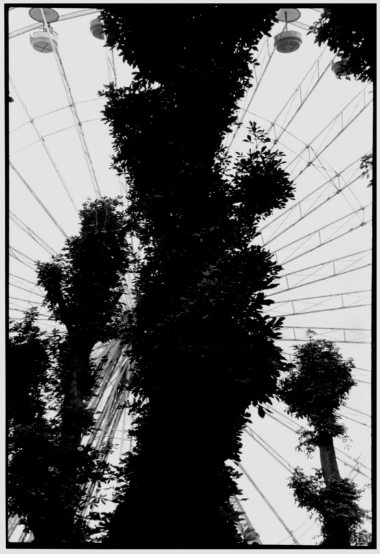 grande roue - Lille - 1981 - photo Robert Laugier