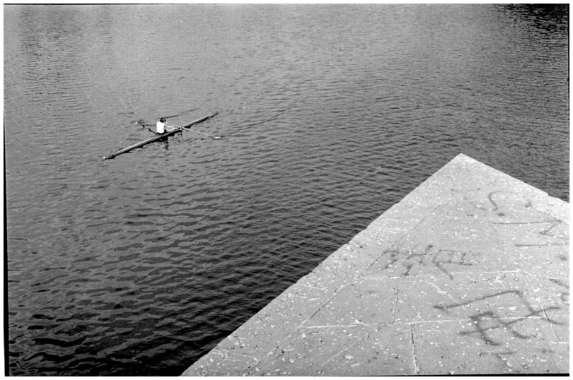 skiff sur l'Arno  Florence, Firenze
