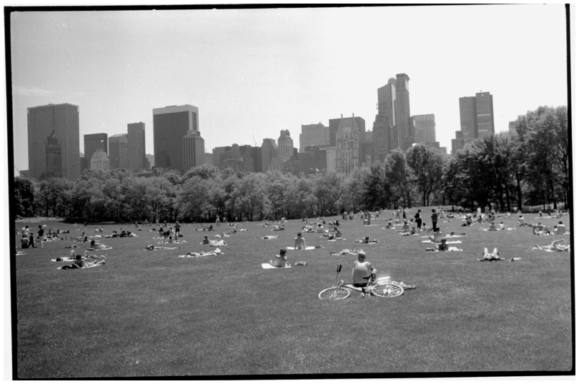 Central Park, New York City