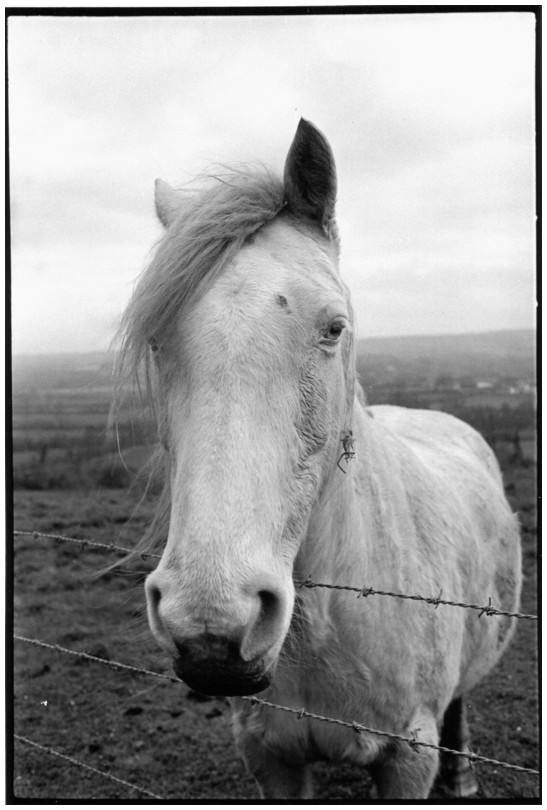 Normandie, 1992