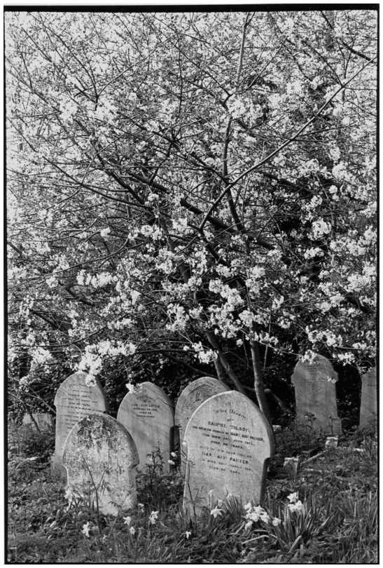 Highgate Cemetery, London