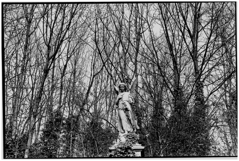 Hampstead Heath, London