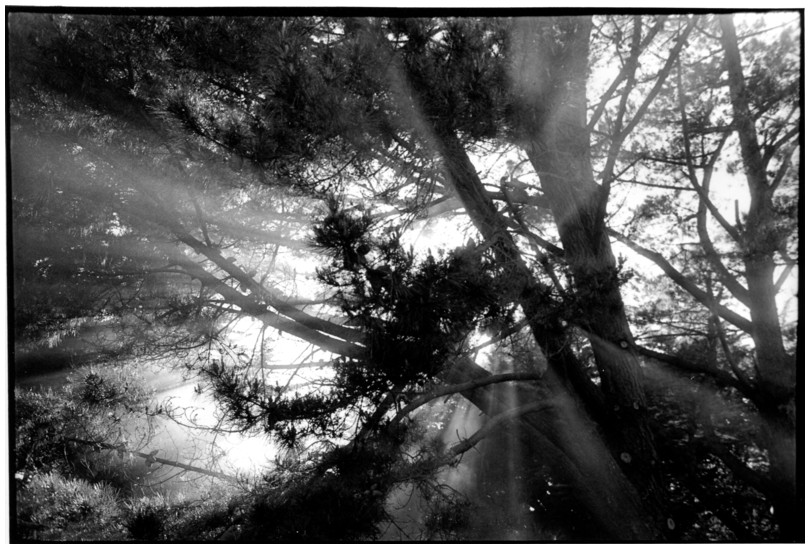rayons de soleil dans la fume