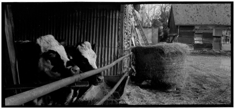 ferme, Le Fay