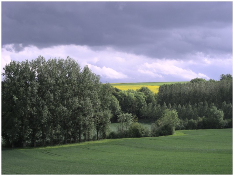 2009-05-16-jardin-paysage-07