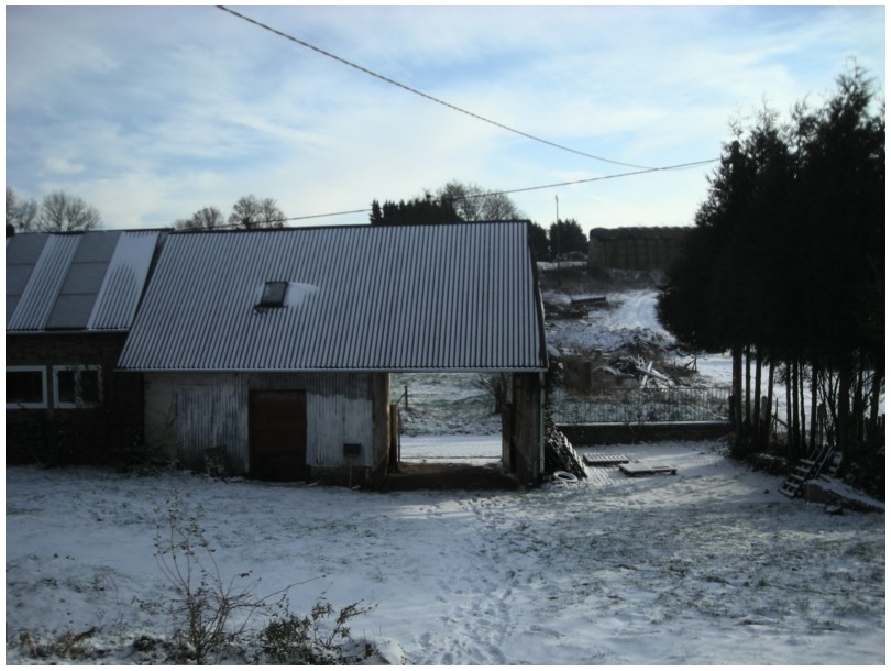 2009-12-18-b-s.jpg