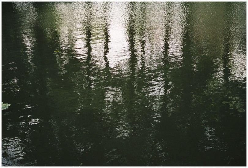 C2009-03-20-s.jpg