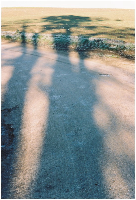 C2011-03-30a-s.jpg