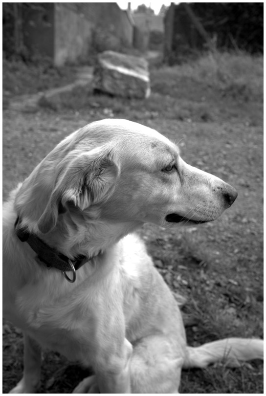 2019-10-04_0062