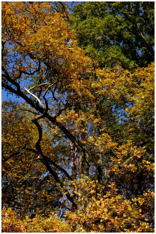 2019-11-04_0128