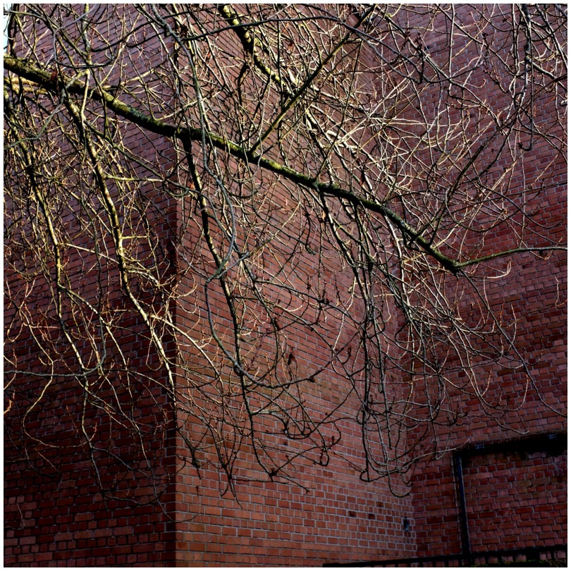 2024-03-03_0146