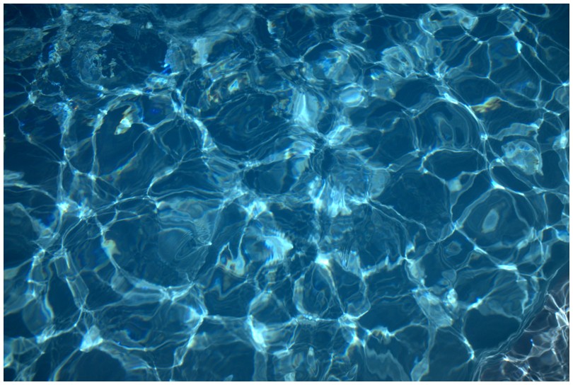2019-07-17_0088