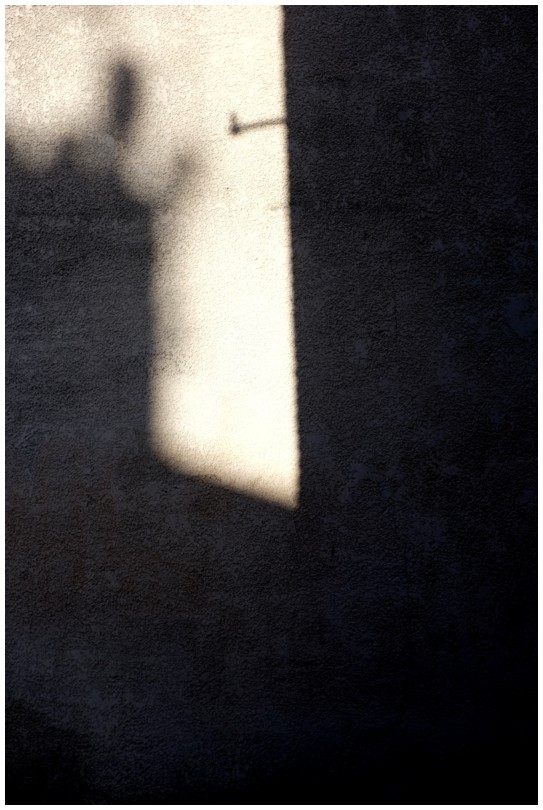 2022-01-31_0099