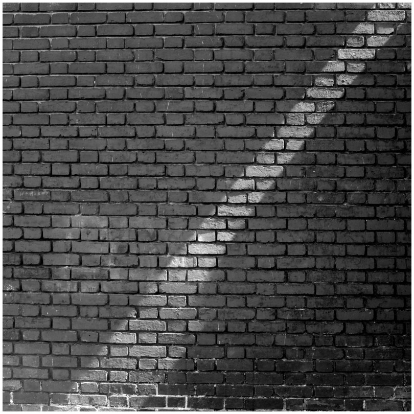 2023-05-03_0377
