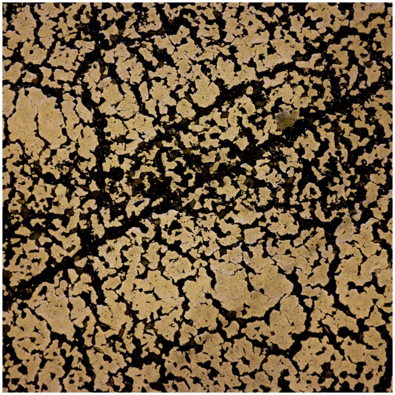 2023-11-21_0182