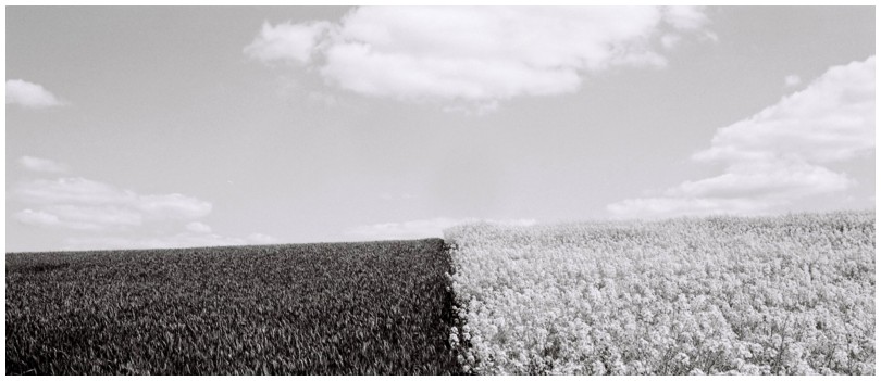 pano-2012-02-12-s.jpg