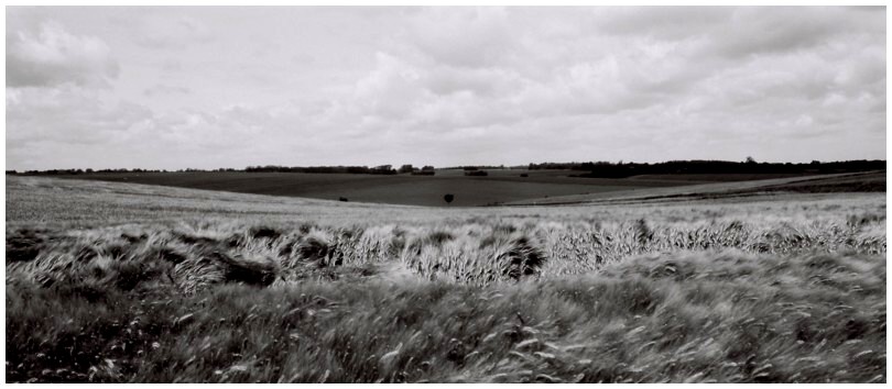 pano-2012-03-24-s.jpg
