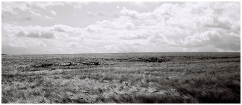 pano-2012-03-31-s.jpg