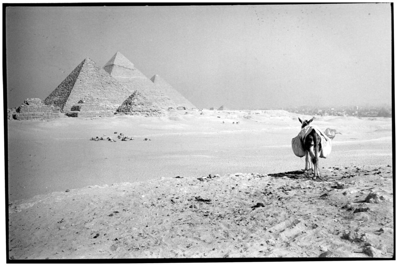 Les pyramides de Gizeh
