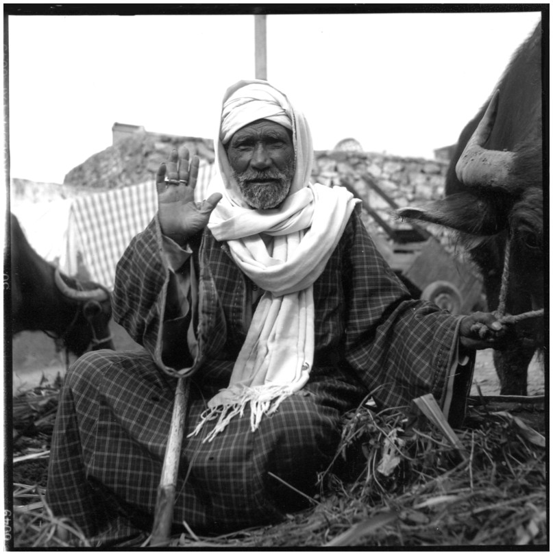 Dans une cour de ferme, Assouan