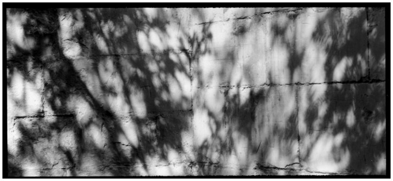 pan-2008-50-36