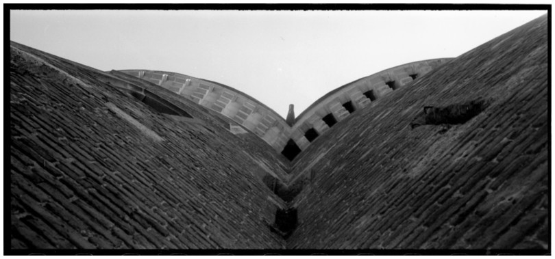 pan-2008-56-22